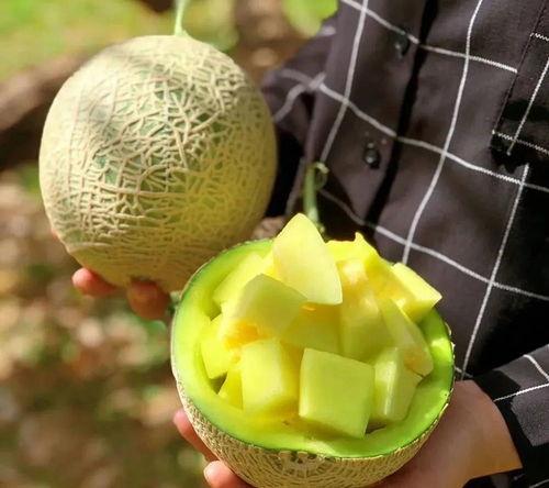 娱乐吃瓜壁纸图片